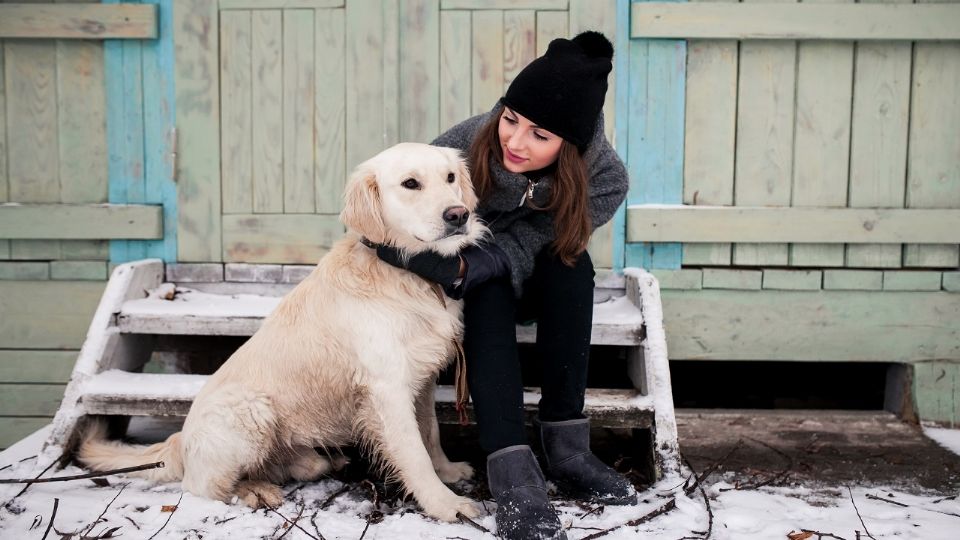 Descubre cómo el clima helado afecta a los perros y qué medidas tomar para mantenerlos seguros y cómodos.